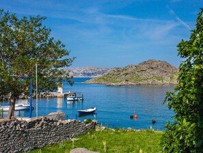 Water, Plant, Sky, Water Resources, Boat, Cloud, Azure, Natural Landscape, Tree, Lake