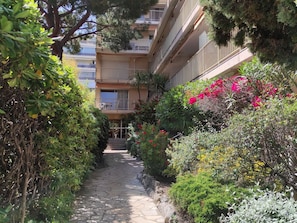 Plant, Flower, Building, Window, Tree, Vegetation, Architecture, House, Neighbourhood, Road Surface