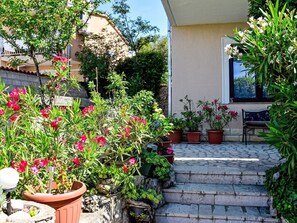 Plante, Fleur, Propriété, Pot De Fleur, Bâtiment, Plante D'Appartement, Maison, Fenêtre, Herbe, Arbre