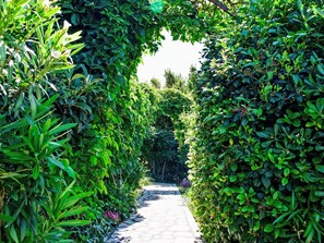 Plante, Communauté Des Plantes, Paysage Naturel, Haie, Végétation, Terrestre Des Plantes, Biome, Arbre, Herbe, À Feuilles Persistantes