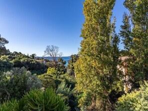 Sky, Plant, Natural Landscape, Larch, Tree, Terrestrial Plant, Evergreen, Cloud, Shrub, Landscape