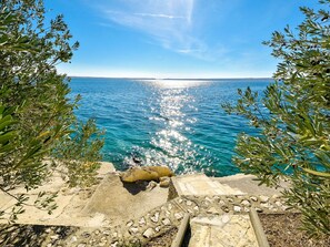 Water, Sky, Cloud, Water Resources, Plant, Natural Landscape, Azure, Natural Environment, Wood, Coastal And Oceanic Landforms