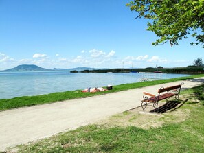 Water, Sky, Cloud, Water Resources, Azure, Tree, Natural Landscape, Beach, Coastal And Oceanic Landforms, Plant