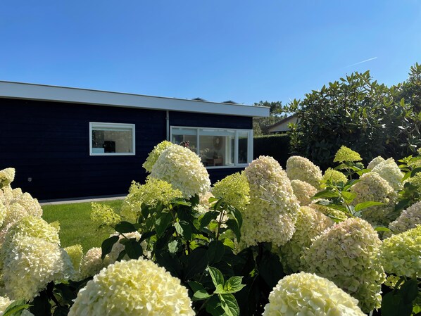 Boendeområde