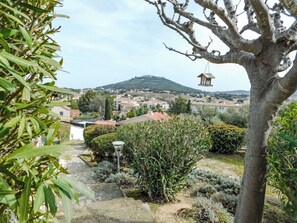 Shrub, Garden, Landscaping, Botanical Garden
