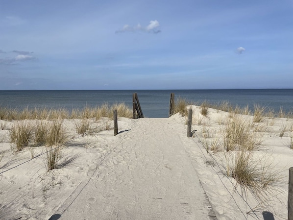 Wolke, Wasser, Pflanze, Himmel, Ökoregion, Azurblau, Holz, Strand, Horizont, Natürliche Landschaft