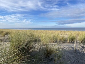 Blau, Horizont, Ökoregion, Meer, Küste, Strand, Sonnenlicht, Ozean, Ufer