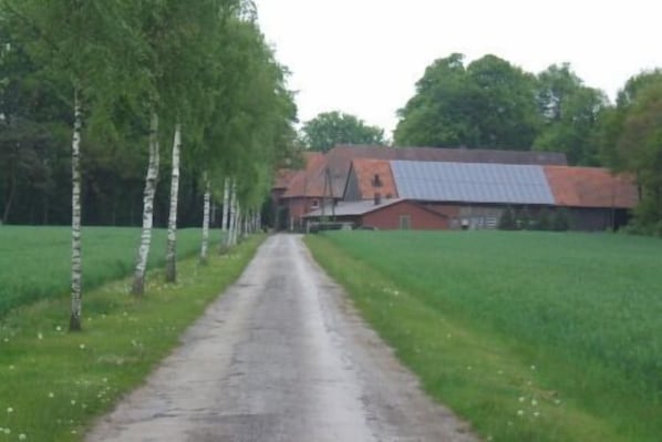 Exteriör