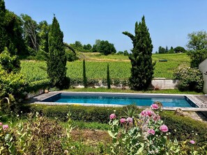 Piscine3