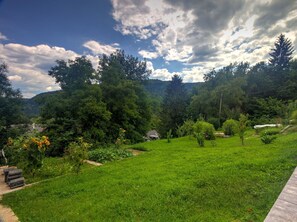 Cloud, Plant, Sky, Ecoregion, Green, Tree, Natural Landscape, Highland, Land Lot, Sunlight