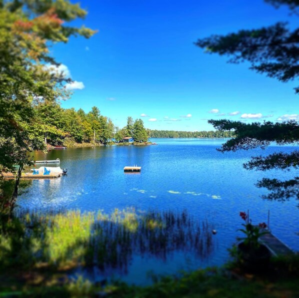 The view from the dining area.