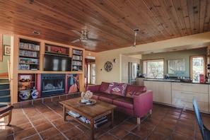 Living room and fire place