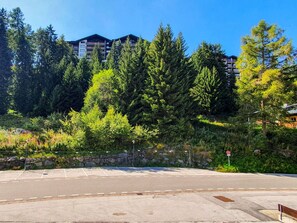 Plant, Sky, Daytime, Plant Community, Building, Natural Landscape, Road Surface, Asphalt, Land Lot, Evergreen