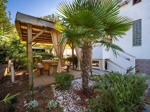 Plante, Fenêtre, Communauté Des Plantes, Ciel, Bâtiment, Arbre, Ombre, Herbe, Arecales, Terrestre Des Plantes