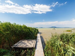 Nuage, Ciel, Communauté Des Plantes, Plante, Écorégion, Paysage Naturel, Lot Terre, Végétation, Bois, Herbe