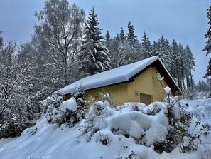 Himmel, Gebäude, Schnee, Pflanze, Fenster, Baum, Ast, Steigung, Lärche, Haus