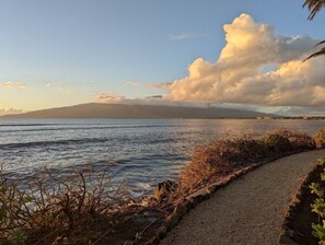 Maui Bay Villas, a Hilton Grand Vacations Club_4.jpg