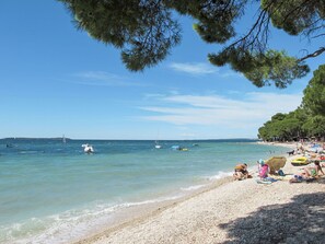 Water, Sky, Cloud, Beach, Tree, Coastal And Oceanic Landforms, Arecales, Aqua