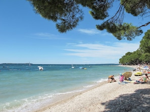 Water, Sky, Cloud, Beach, Tree, Coastal And Oceanic Landforms, Arecales, Aqua