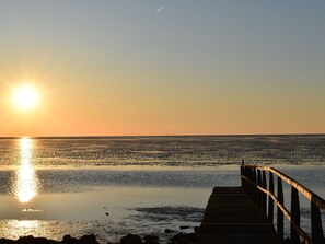 Water, Sky, Cloud, Afterglow, Body Of Water, Sunset, Tree, Sunlight, Coastal And Oceanic Landforms, Sunrise