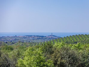 Sky, Ecoregion, Plant, Natural Landscape, Land Lot, Cloud, Tree, Horizon, Plain, City