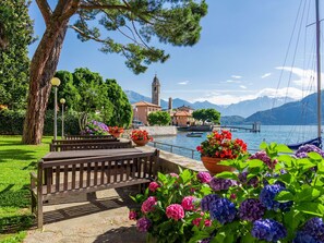Flower, Water, Plant, Cloud, Sky, Outdoor Bench, Green, Flowerpot, Tree, Vegetation
