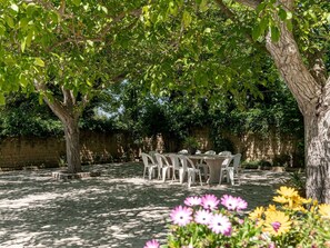 Plant, Flower, Plant Community, Tree, Natural Landscape, Petal, Biome, Grass, Wood, Shrub