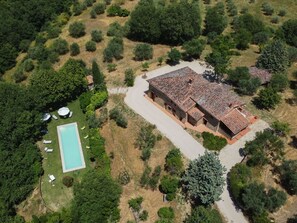 Plant, Property, Tree, Land Lot, Natural Landscape, Urban Design, Residential Area, Landscape, Real Estate, Rural Area