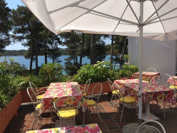 Table, Furniture, Plant, Property, Chair, Outdoor Table, Water, Shade, Outdoor Furniture, Interior Design