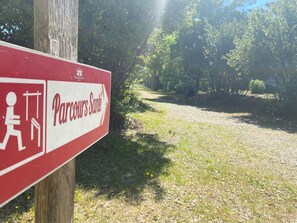 Communauté Des Plantes, Plante, Feuille, Paysage Naturel, Lot Terre, Arbre, Herbe, Surface De La Route, Biome, Police De Caractère