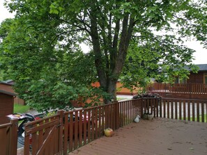 Plant, Fence, Tree, Road Surface, Wood, Shade, Building, House, Home Fencing, Grass