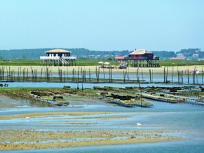 Wasser, Himmel, Pflanze, See, Bank, Natürliche Landschaft, Gras, Wiese, Landschaft, Freizeit