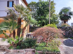 Plante, Communauté Des Plantes, Bâtiment, Fenêtre, Ciel, Arbre, Botanique, Fleur, Maison, Végétation