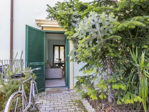 Fahrrad, Rad, Pflanze, Fahrrad-Rad, Gebäude, Fenster, Die Architektur, Baum, Vegetation