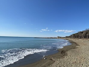 Wasser, Himmel, Wolke, Azurblau, Strand, Küsten Und Ozeanische Forms, Terrain, Natürliche Landschaft, Horizont, Baum