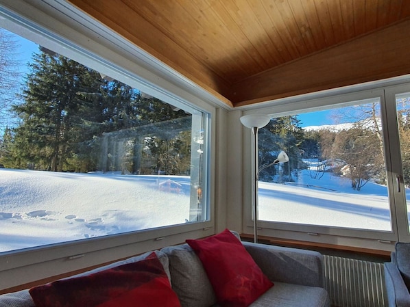 PropriĂ©tĂ©, FenĂȘtre, Ombre, Neige, Bois, Design IntĂ©rieur, Maison, CanapĂ©, Arbre