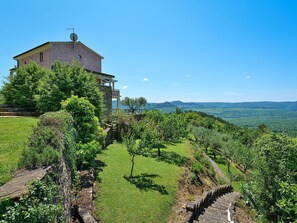Végétation, Paysage Naturel, Arbuste, Paysage, Communauté Des Plantes, Zone Rurale, Lot Terre, Station De Montagne, Jardin