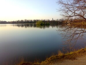 Water, Sky, Water Resources, Plant, Natural Landscape, Natural Environment, Lake, Tree, Sunlight