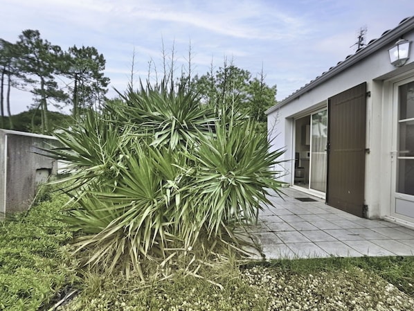 Plant, Sky, Building, Window, Tree, Land Lot, House, Larch, Grass, Residential Area