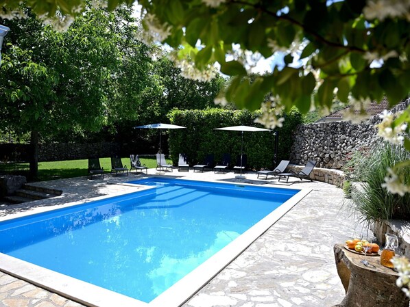 Water, Plant, Property, Swimming Pool, Nature, Flowerpot, Azure, Outdoor Furniture, Rectangle, Shade