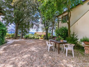 Plant, Plant Community, Building, Table, Tree, Natural Landscape, Window, Wood, Shade, Road Surface