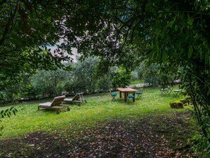 Pflanze, Tabelle, Natürliche Landschaft, Außenbank, Schatten, Baum, Gartenmöbel, Bank, Holz