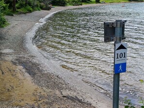 Water, Plant, Road Surface, Watercourse, Asphalt, Thoroughfare, Road, Lake, Tree