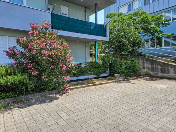 Plant, Building, Property, Flower, Window, Road Surface, Vegetation, Urban Design, Line, Neighbourhood
