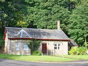 Plant, Building, Window, Tree, House, Land Lot, Cottage, Residential Area, Real Estate, Landscape