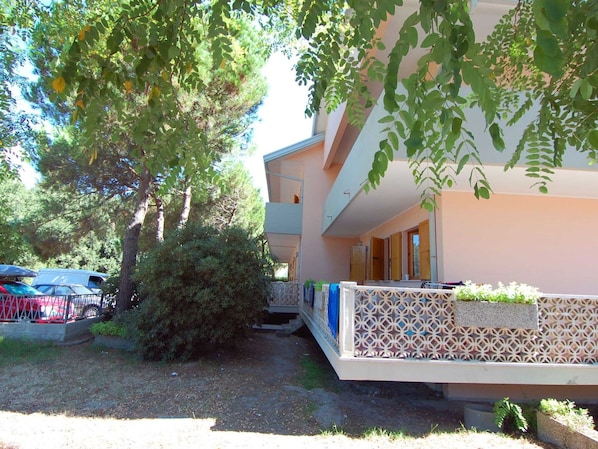 Pflanze, Gebäude, Blatt, Baum, Haus, Schatten, Grundstueck, Arecales, Urban Design, Gehölz