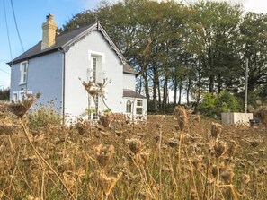 Wild flower meadow