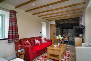 Sitting room with sofas, coffee table, open fireplace with log burner