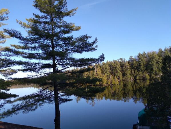 View from dock