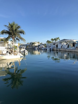 View from patio looking downstream